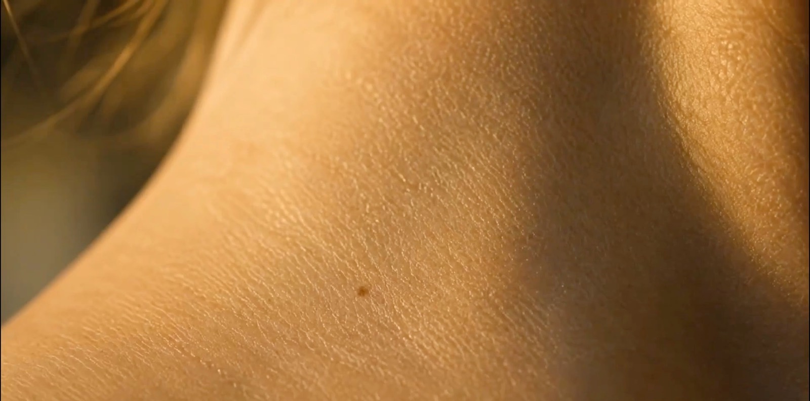Detalle de un hombro y un cuello en luz cálida, piel y músculo en movimiento.